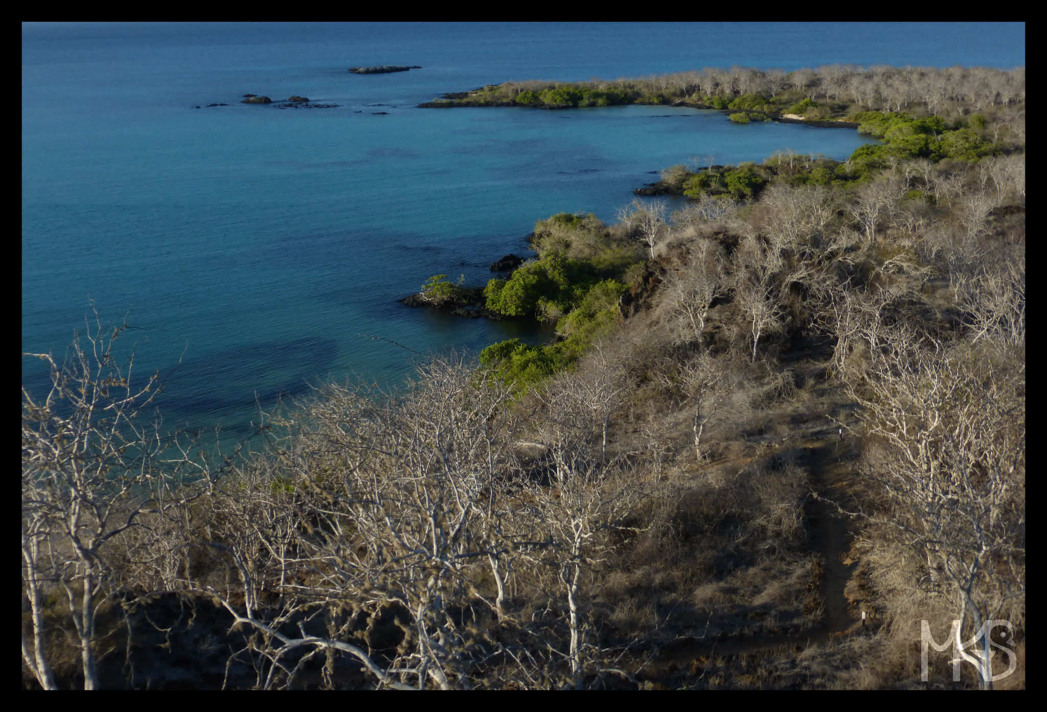 Galapagos Islands