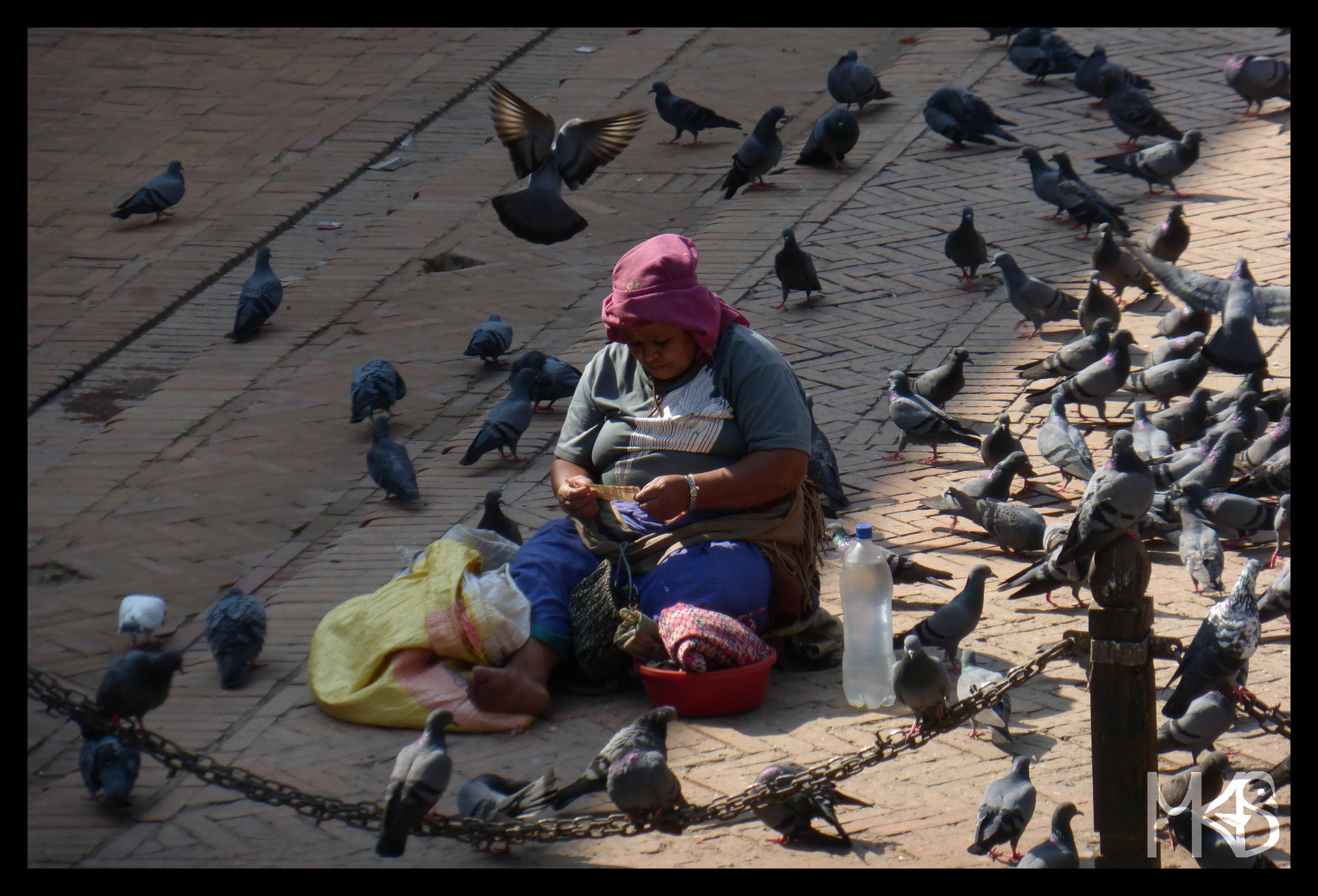 Pigeons in Patan