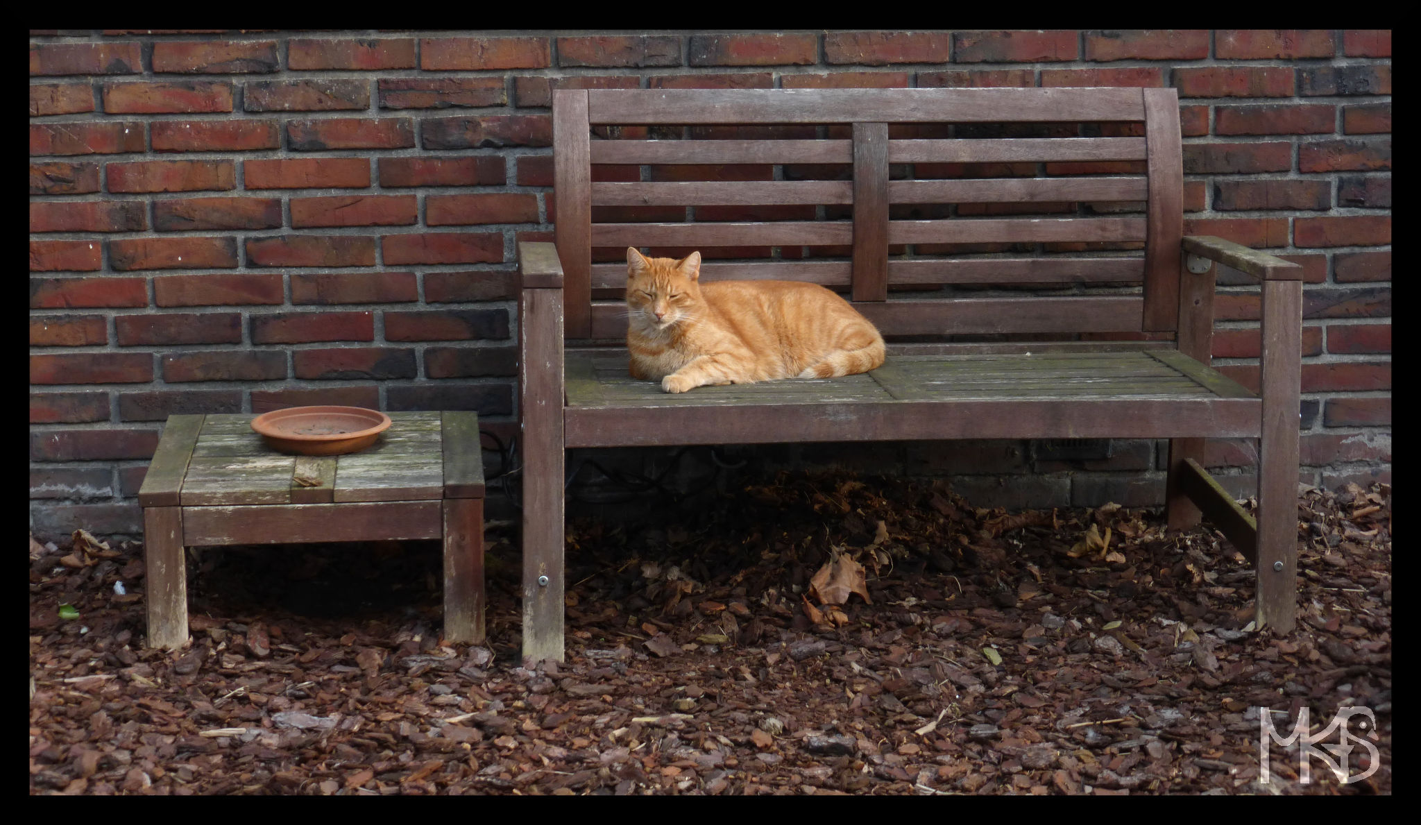 Sleeping on the bench