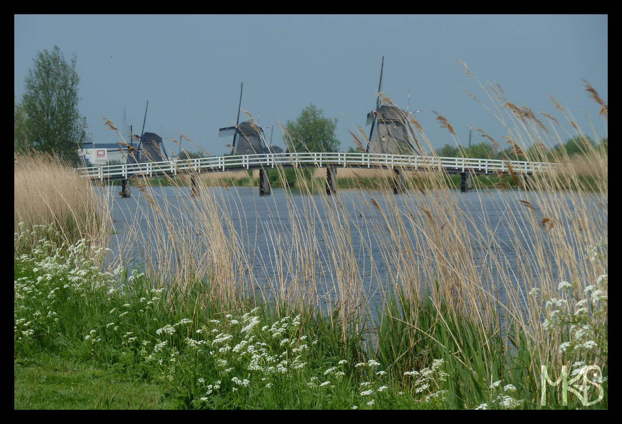 Windmills in Kinderdijk