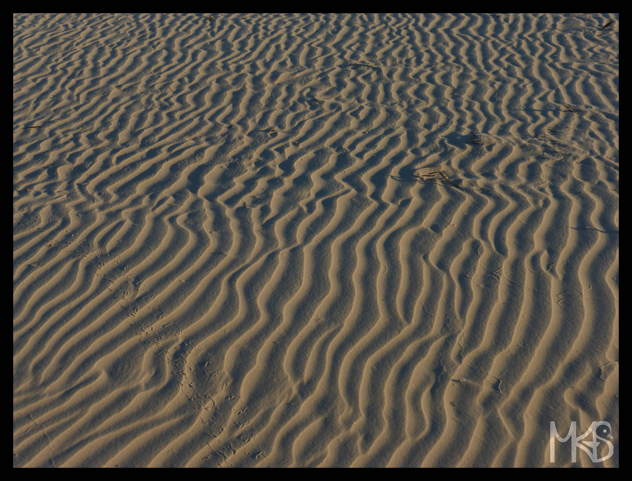 Beach in Morondava