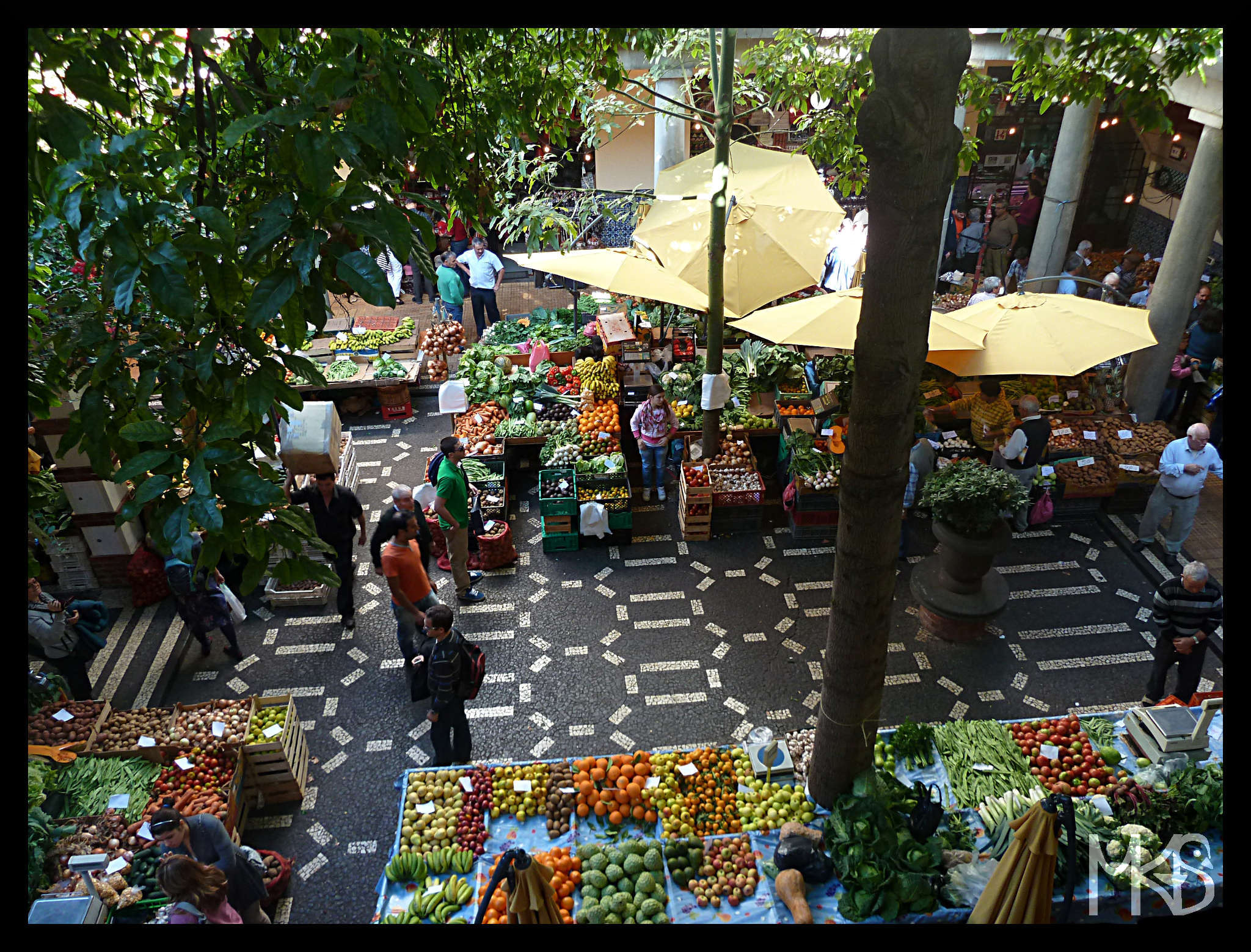 Farmer's market in Funchal