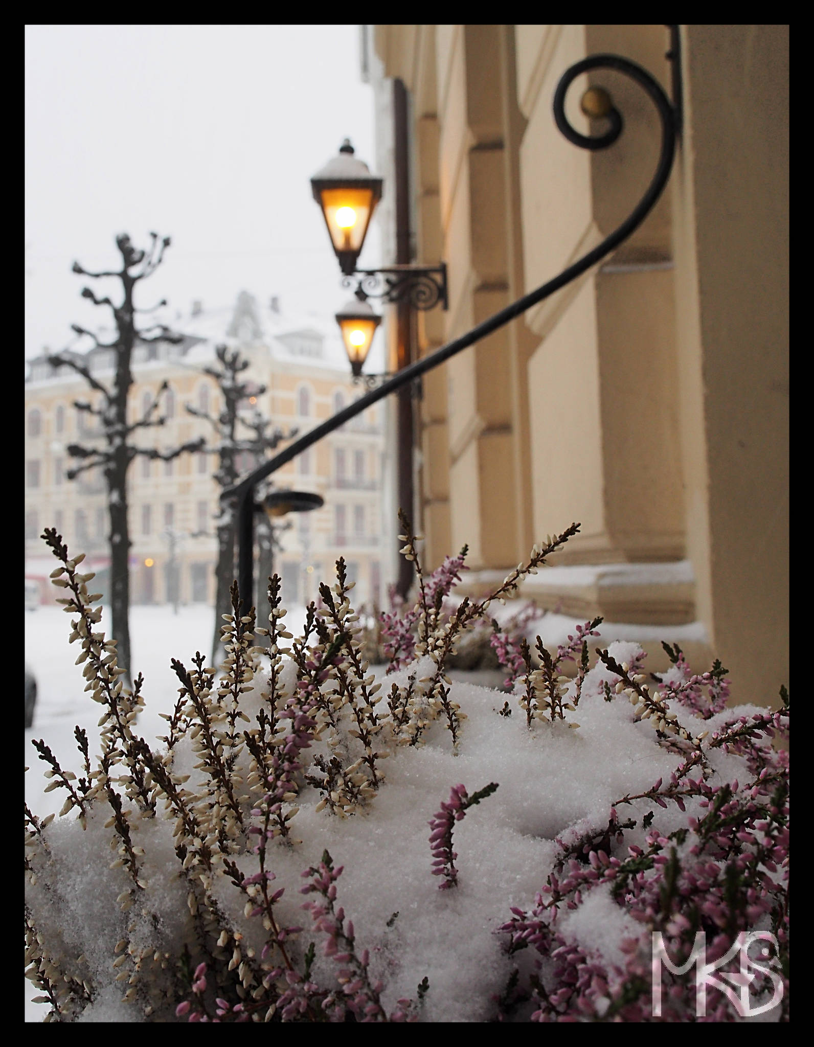 Street in Oslo, Norway