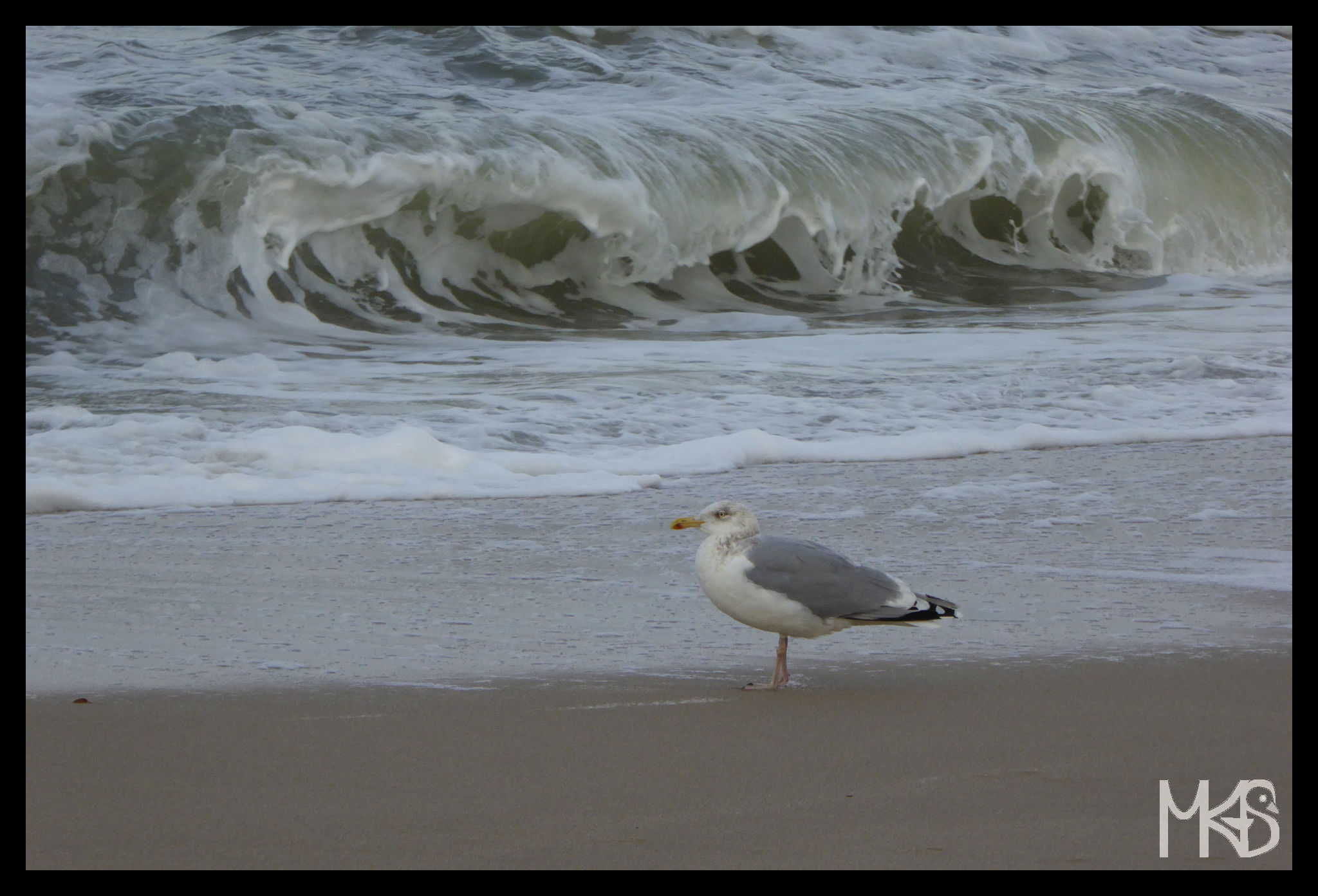 North Sea, Germany