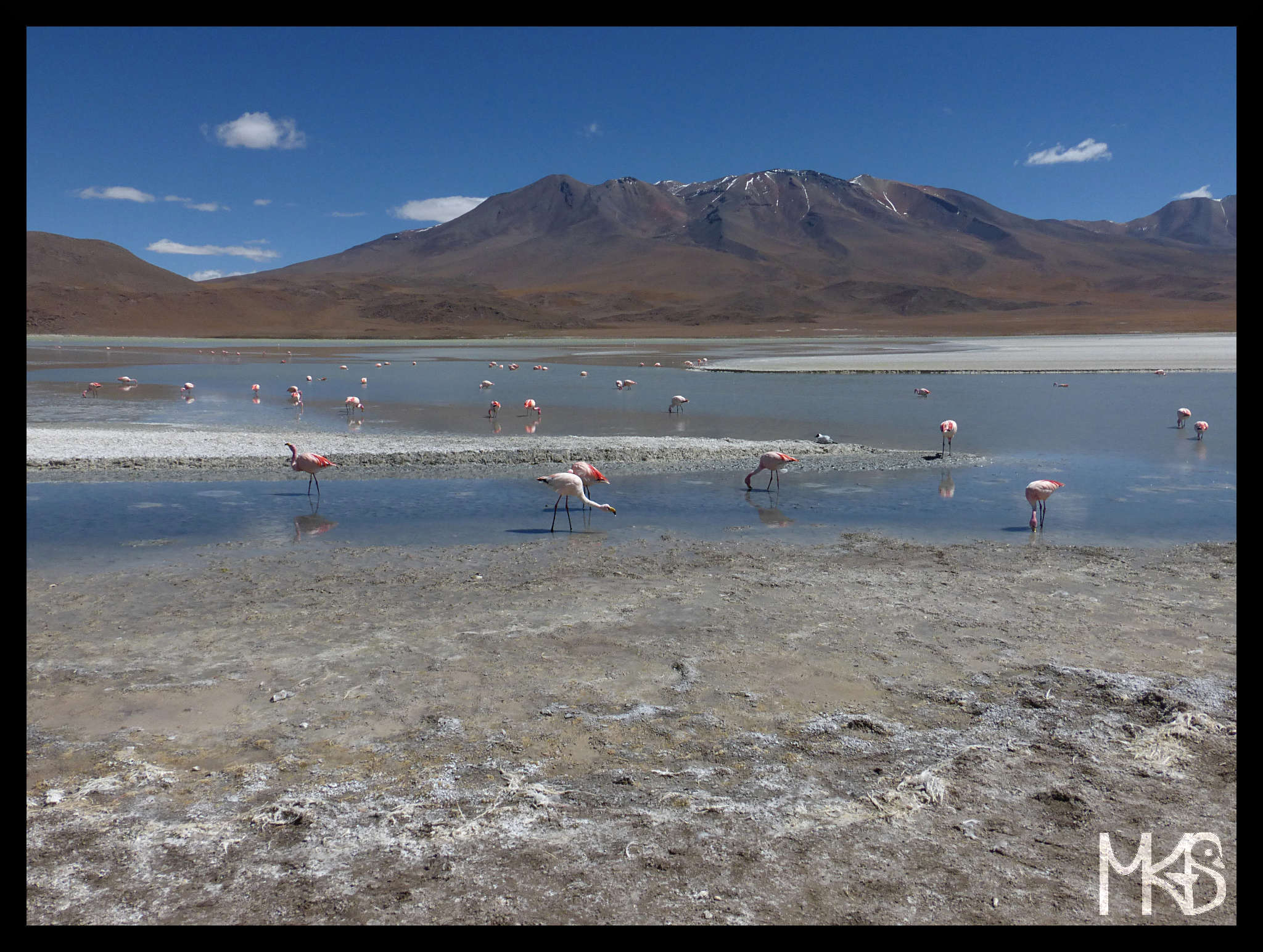 Laguna Colorada (Red Lagoon), Bolivia 