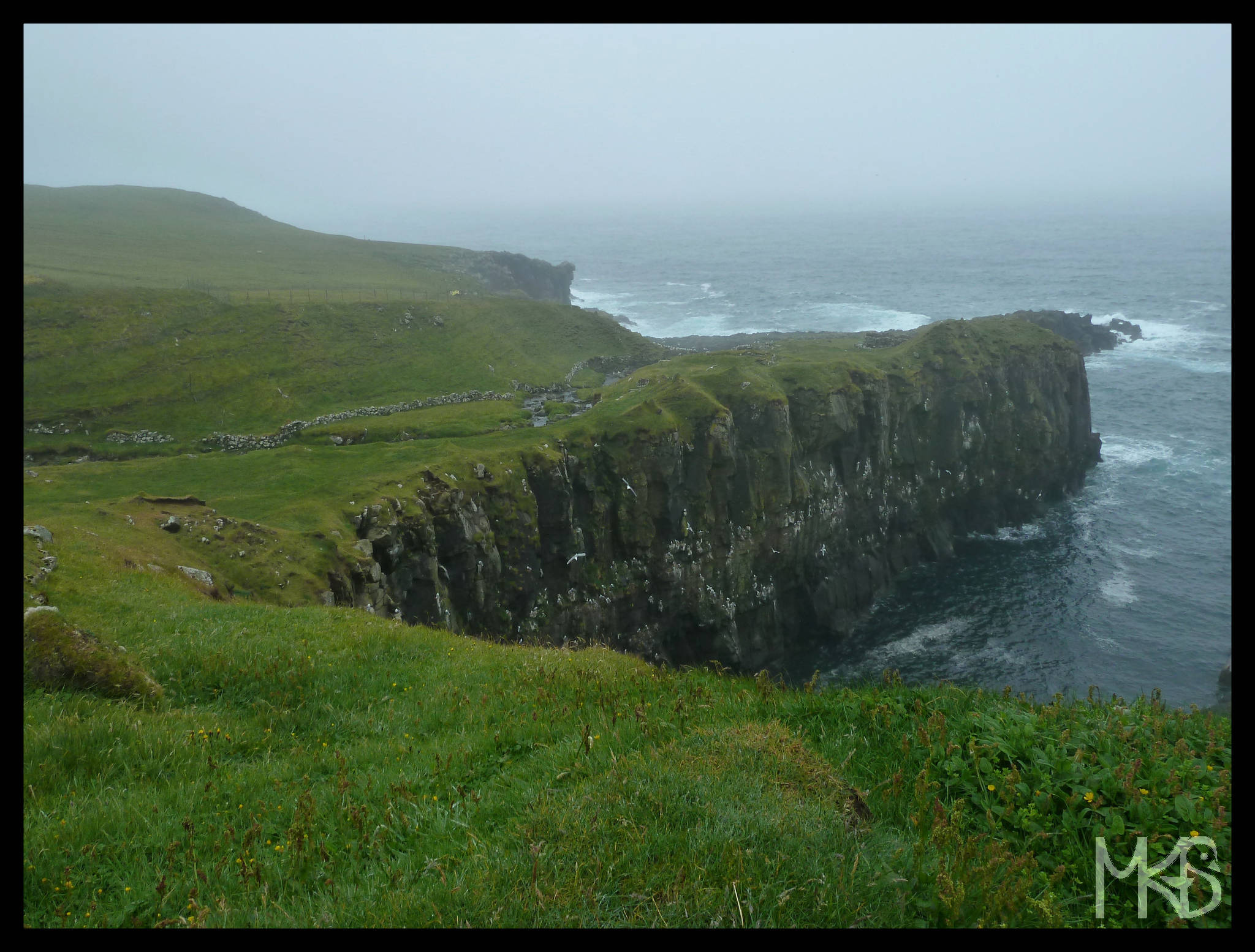 Cliffs and Birds, Faroe Islands