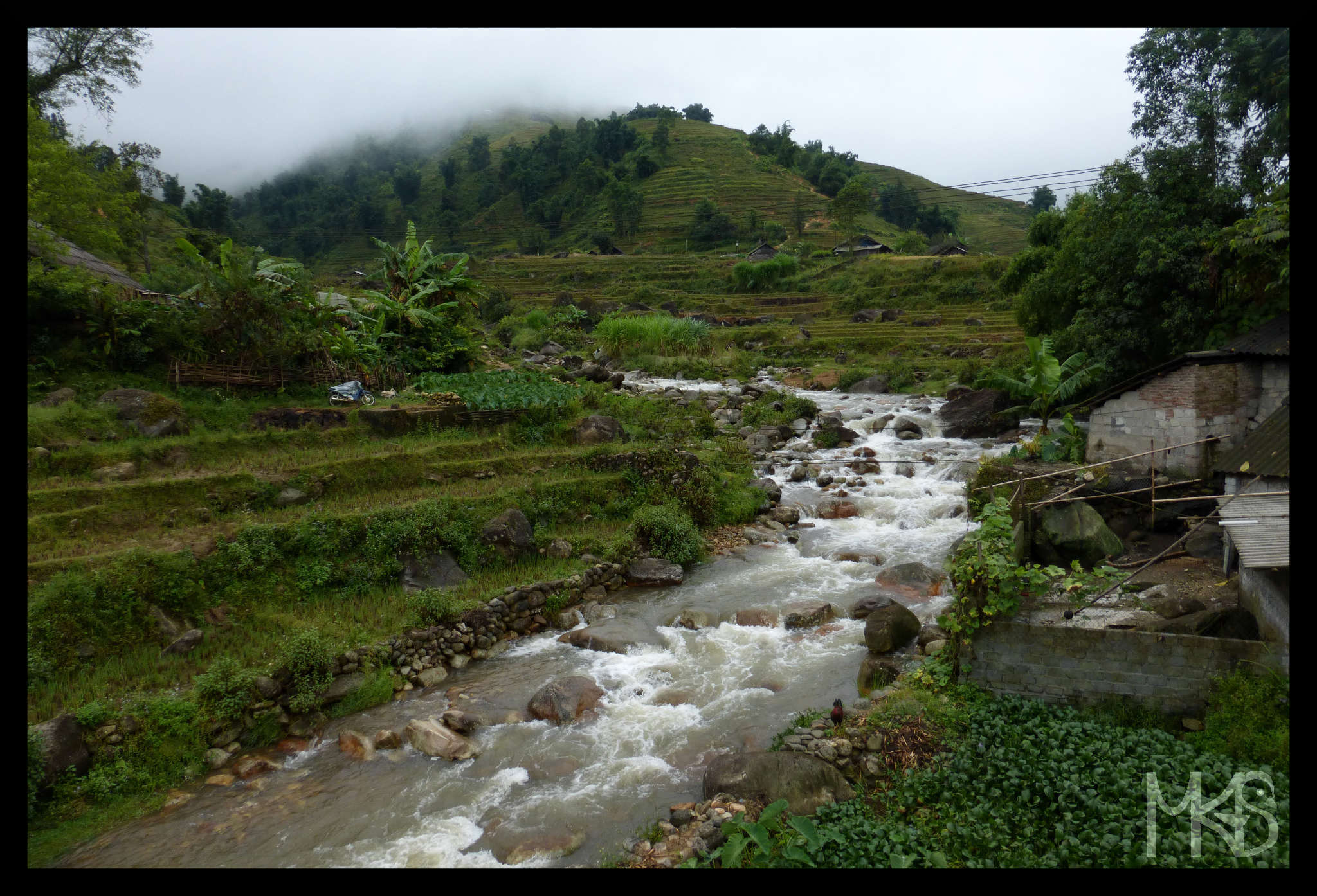 Rice fields nearby Sapa, Vietnam