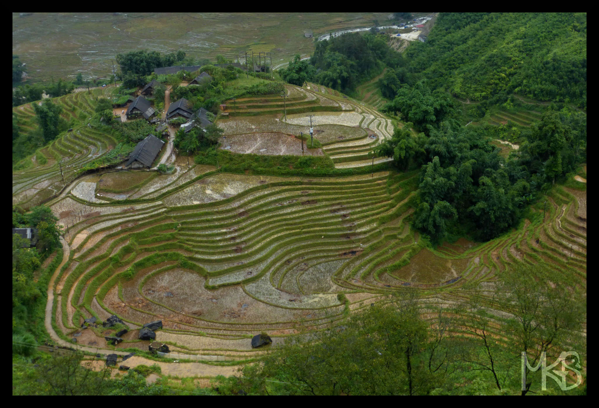 Rice terraces nearby Sapa, Vietnam