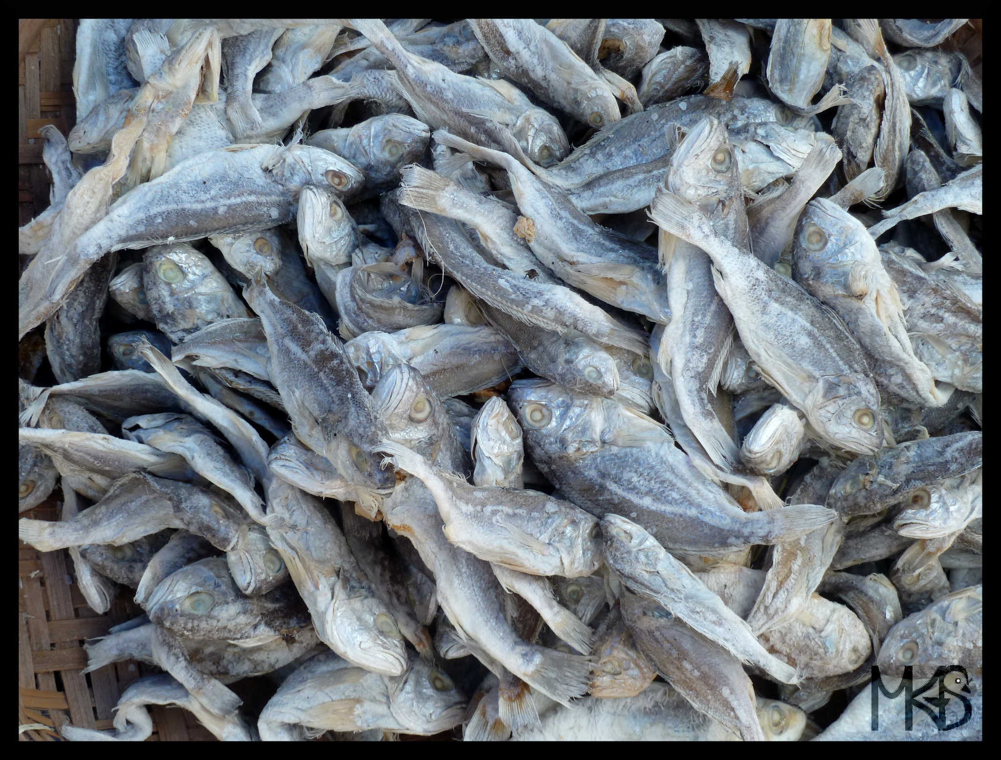 Dried fish