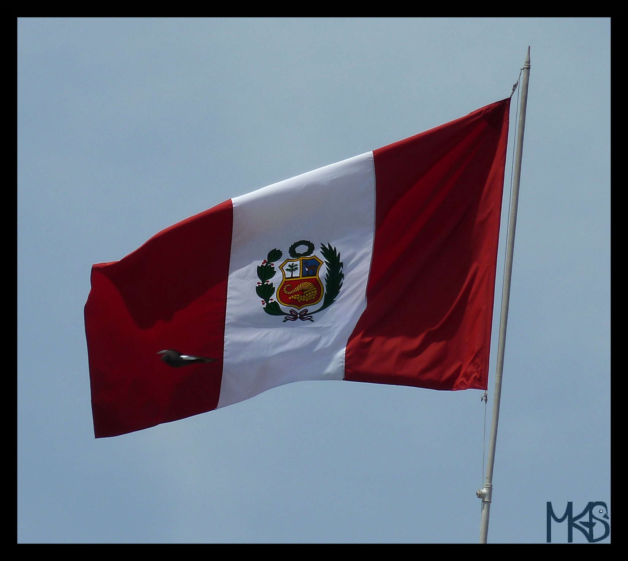 Peru Flag Traveling Rockhopper